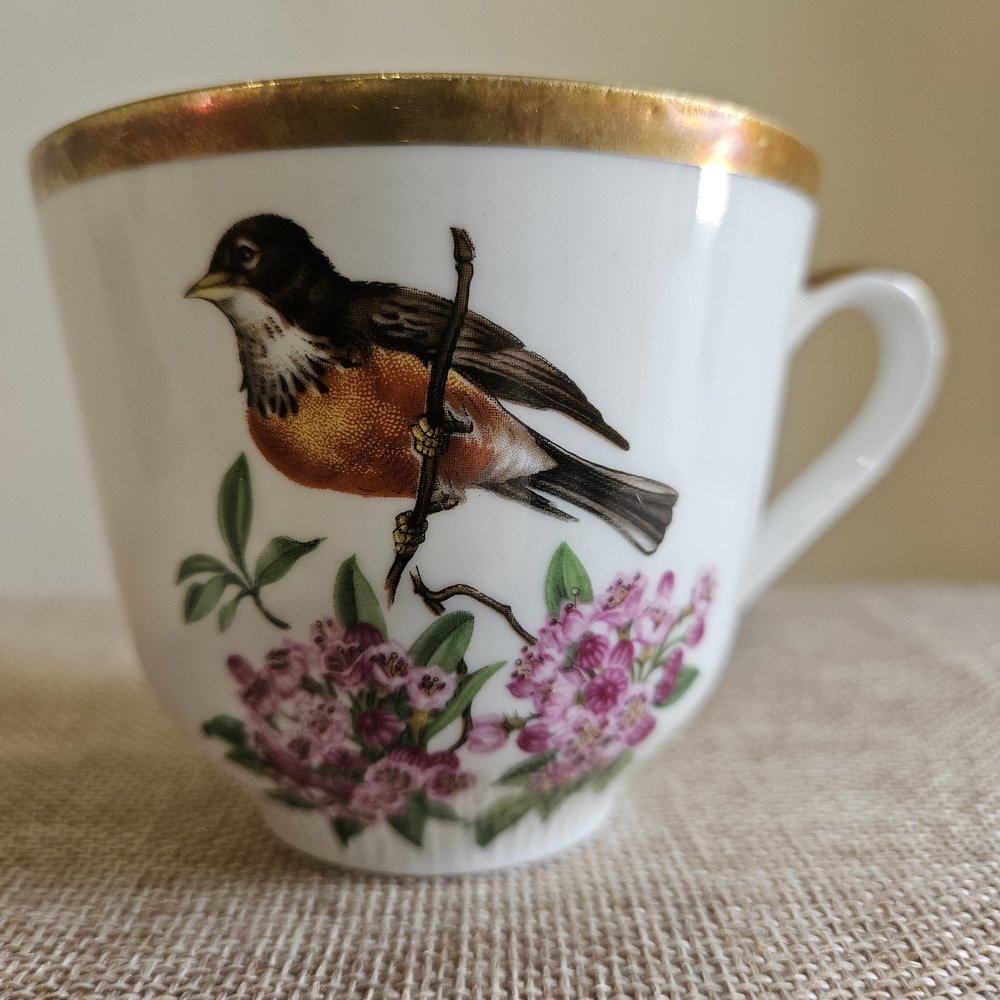 Schumann Arzberg‎ Teacup - Picture 2 of 9